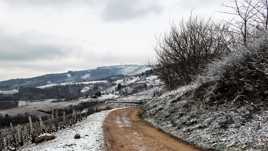 Les monts du Beaujolais