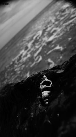 les secrets de la mer