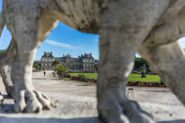 Entre les jambes du lion