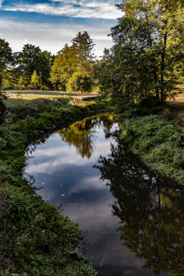 balade matinale petit parc à CHOLET