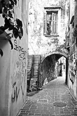 Ruelle