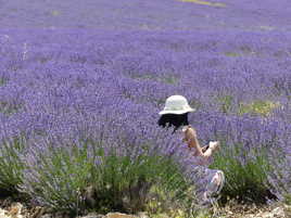 Gros plan sur une fleur