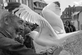 le Chuchoteur et le Goéland