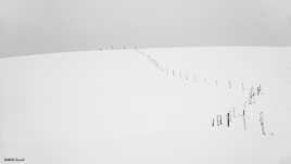 un chemin tout tracé