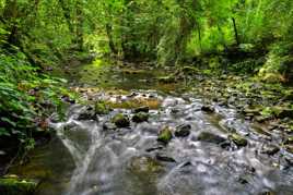 Ruisseau de Villencourt 3