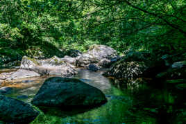 Rivière d'émeraude