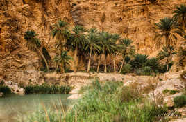 Oasis pieds dans l'eau