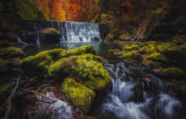 La source de l'Areuse