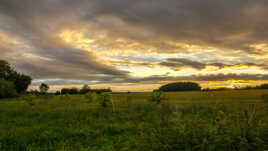 Tableau de la Nature