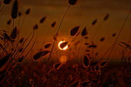 detente apres le boulot