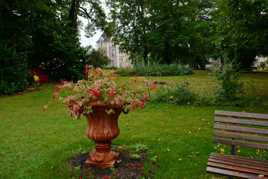 Promenade dans le Parc