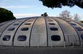 Première brase sous le tournesol