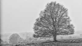 Givre et brouillard