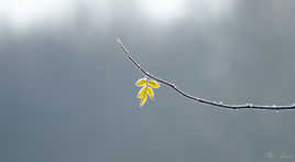 Qui a dérègler le temps