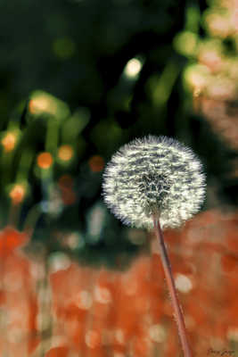 J'ai osé la couleur