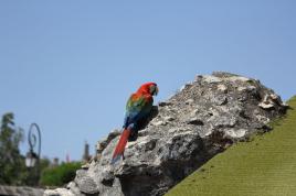 Y en a marre moi je me repose