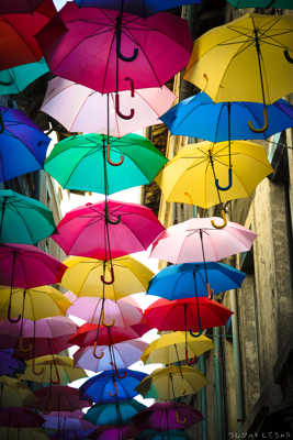 Parapluies Arc-en-ciel