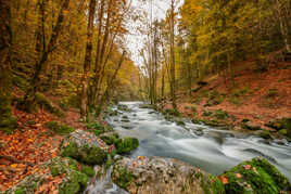 Le Hérisson en automne