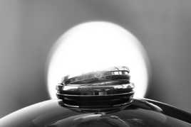 Les Alliances des futurs mariés