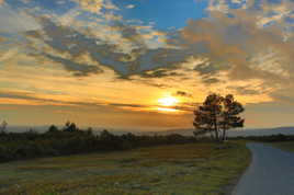 soleil d'hiver en Minervois