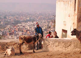 Sur les hauteurs de Jaipur