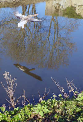 REGARD SUR L'EAU