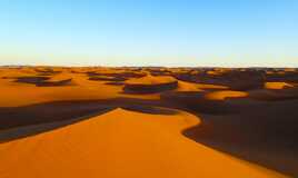 Plénitude dans le désert