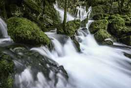 Petit coin de fraîcheur