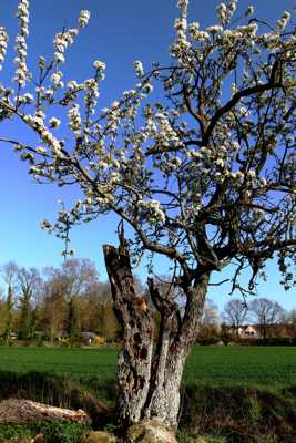 papy fait de la résistance 3