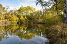 Reflets d'automne