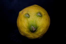 Un regard sûr de soi.