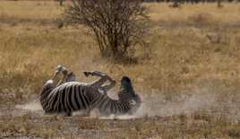 Veux pas aller à l'écoooole
