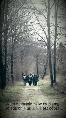 Petite balade entre amis