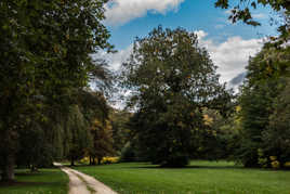 Arboretum de Segrez 1