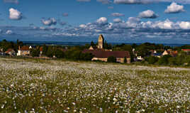 Ruralité (10)
