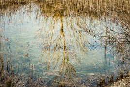 reflet hivernal