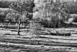 paysage flouté en noir et blanc