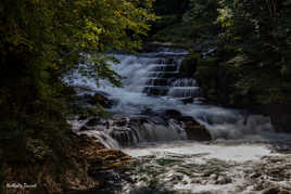 un moment de fraîcheur