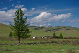 Paysage mongole