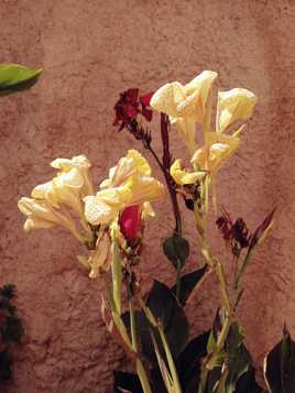 Après midi colorée