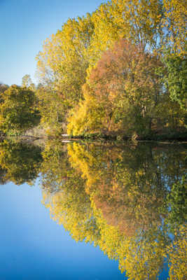 symétrie d'automne