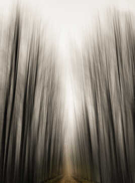 Au bout la lumière !!