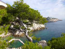 Calanque du Jonquier près de Niolon (13)