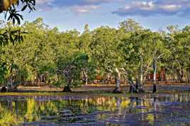 Lotus Bird Lodge, le matin