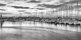 La symphonie des mâts