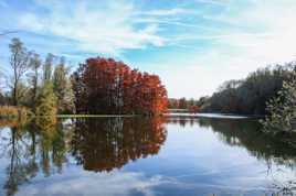 Reflets d automne