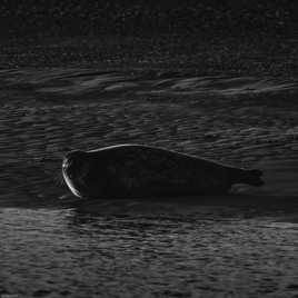 Quand le soleil se lève