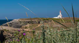 La pointe des poulains