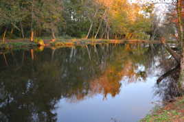 JARDIN DE MAJOLAN