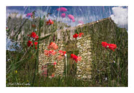 La Maison aux Coquelicots